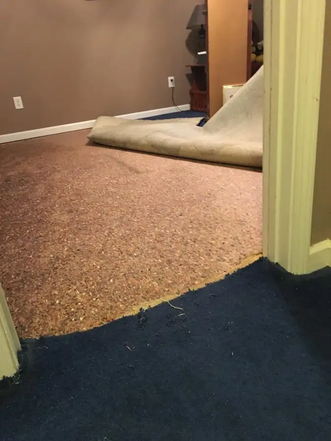 Carpet pad removal revealing water damage during Drying & Dehumidification in College Park